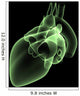 heart x-ray Wall Mural