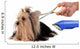 Care for Dog Hair