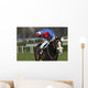 horse racing auteuil 03 Wall Mural