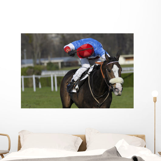 horse racing auteuil 03 Wall Mural