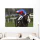 horse racing auteuil 03 Wall Mural