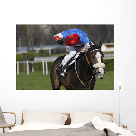 horse racing auteuil 03 Wall Mural