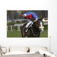 horse racing auteuil 03 Wall Mural