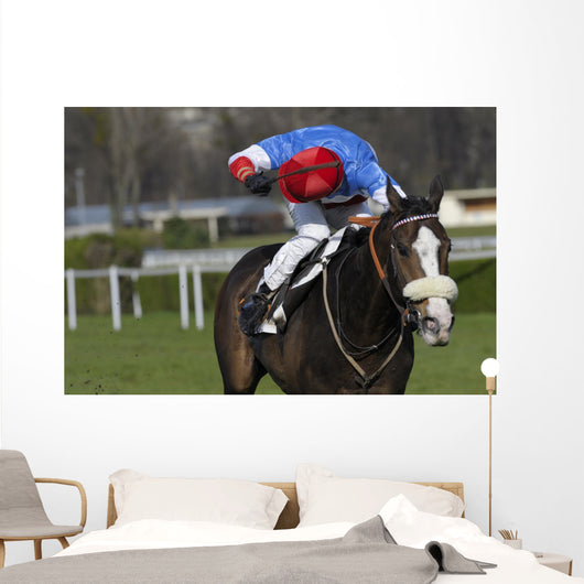 horse racing auteuil 03 Wall Mural