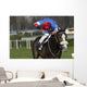 horse racing auteuil 03 Wall Mural
