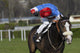horse racing auteuil 03 Wall Mural
