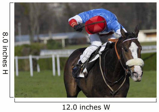 horse racing auteuil 03 Wall Mural