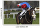 horse racing auteuil 03 Wall Mural