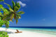 Dream Beach