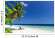 Dream Beach