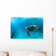 Endangered Sea Turtle Wall Mural