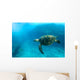 Endangered Sea Turtle Wall Mural