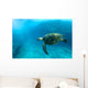 Endangered Sea Turtle Wall Mural