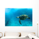 Endangered Sea Turtle Wall Mural