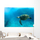 Endangered Sea Turtle Wall Mural