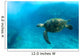Endangered Sea Turtle Wall Mural