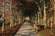 Down Path Wall Decal