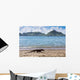 Komodo Dragon Beach Varanus Wall Decal