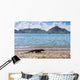 Komodo Dragon Beach Varanus Wall Decal
