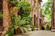 Tuscan Street City Full