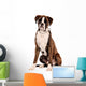 Boxer Sitting Cut