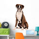 Boxer Sitting Cut