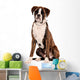 Boxer Sitting Cut