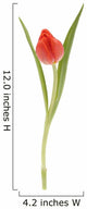 Single Tulip Wall Decal