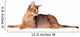 Lying Abyssinian Cat on the Floor Looking Back Wall Decal