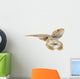 Bearded Dragons Wall Decal