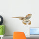 Bearded Dragons Wall Decal