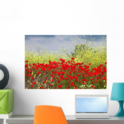 Poppies and Yellow Flowers Wall Decal shown on a wall