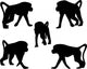 Five Baboons Monkey Wall Stickers