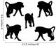 Five Baboons Monkey Wall Stickers