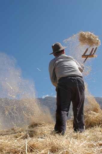 Farmer with Straw and Wall Decal