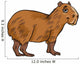 Capybara Animal Cartoon Illustration Wall Decal