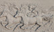 Horses Bass-relief Wall Mural