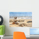 Zen Meditation Spa Relaxation Background Wall Mural