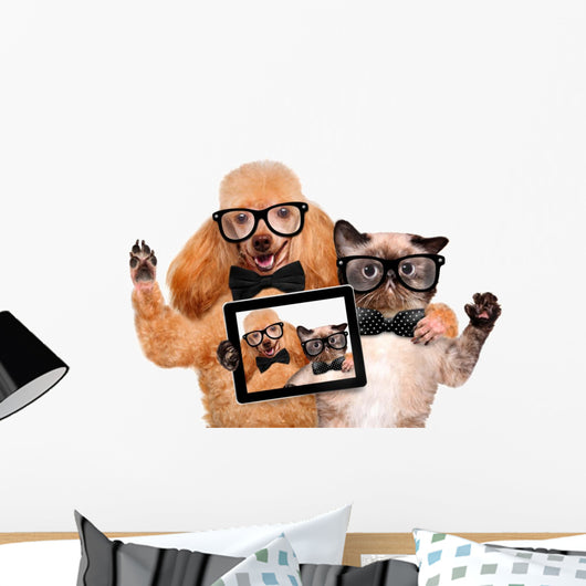 Dog with Cat Taking a Selfie Wall Decal