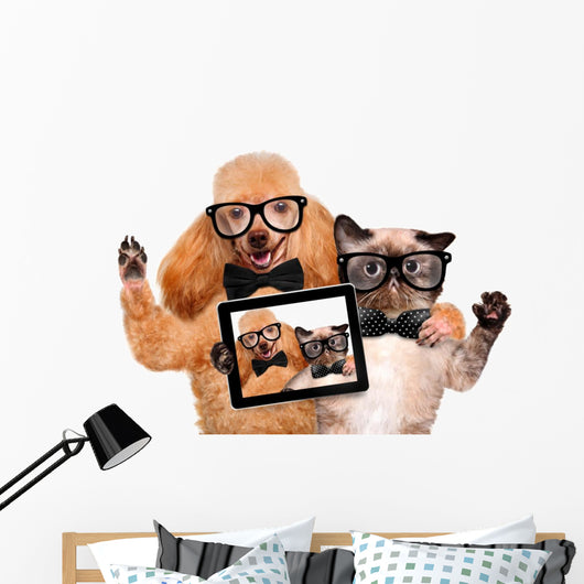Dog with Cat Taking a Selfie Wall Decal