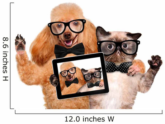 Dog with Cat Taking a Selfie Wall Decal
