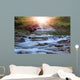 Montain River