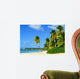 Paradise Beach with Palm