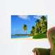 Paradise Beach with Palm