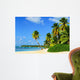 Paradise Beach with Palm