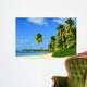 Paradise Beach with Palm