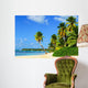 Paradise Beach with Palm