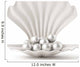 White Shell Pearl Wall Decal