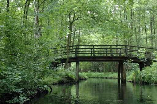 Wooden Bridge Wall Decal