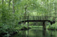 Wooden Bridge Wall Decal
